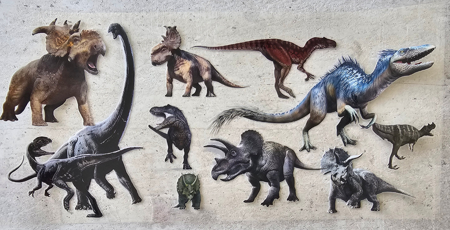 Animal Wraps