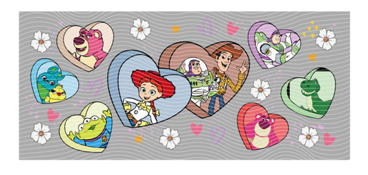 Toy Story Wraps