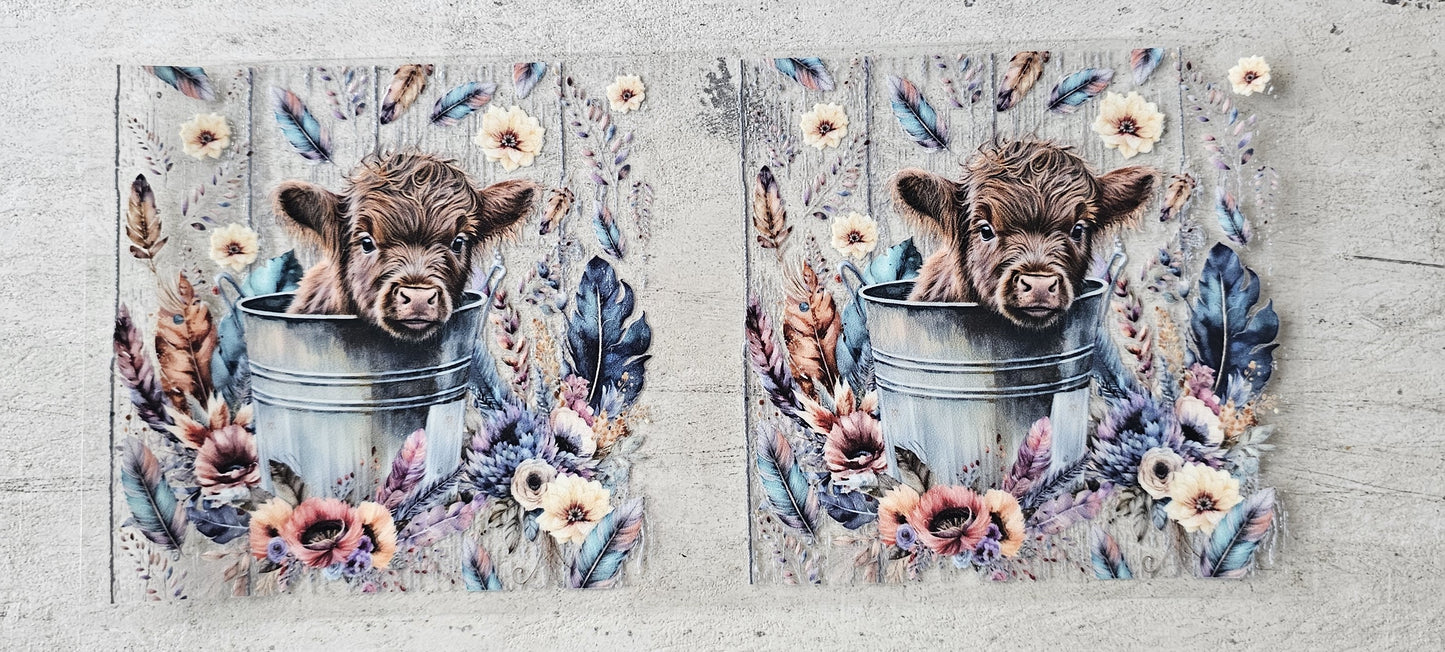 Animal Wraps