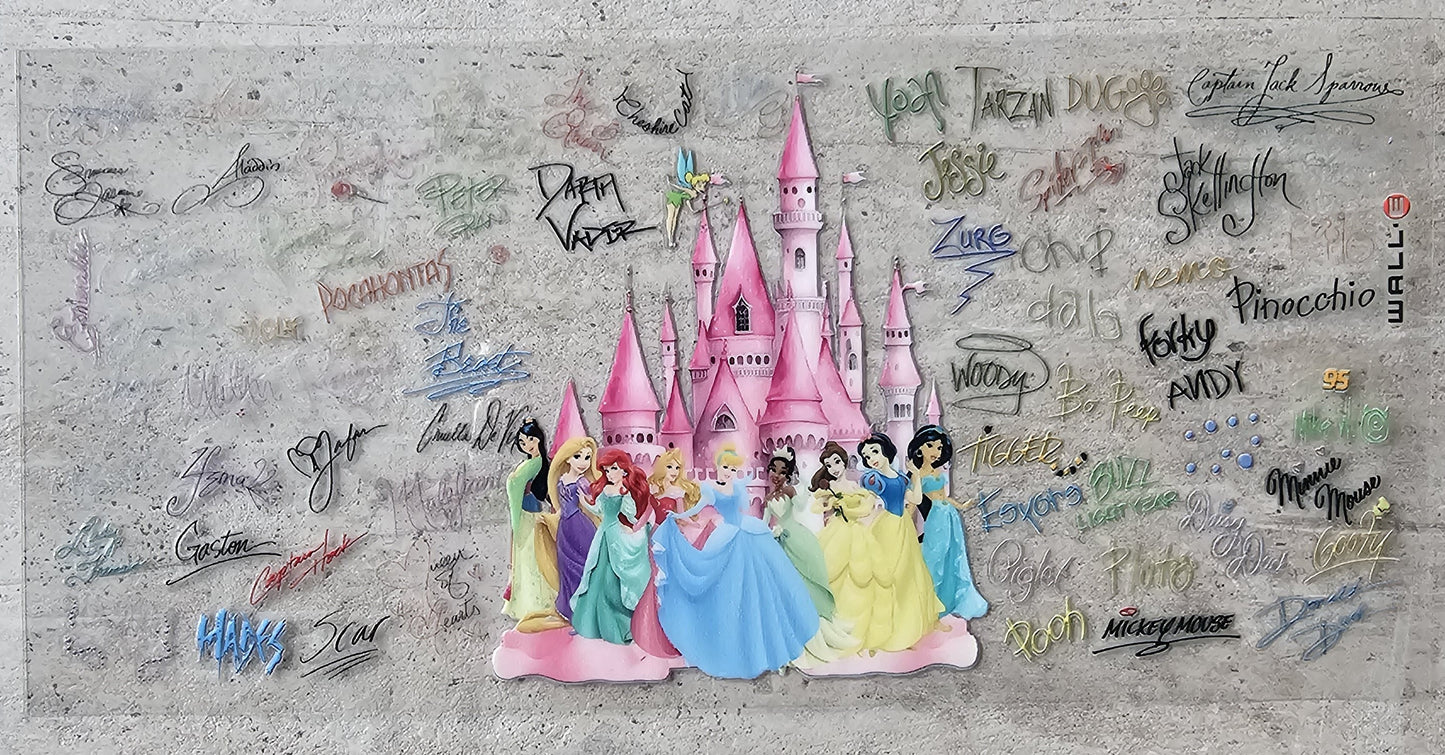 Princesses and other Disney Wraps